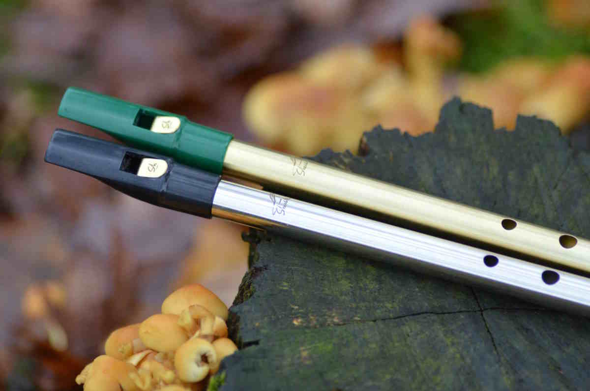 You are currently viewing 5 Tin Whistle Fundamentals That Beginners Often Overlook